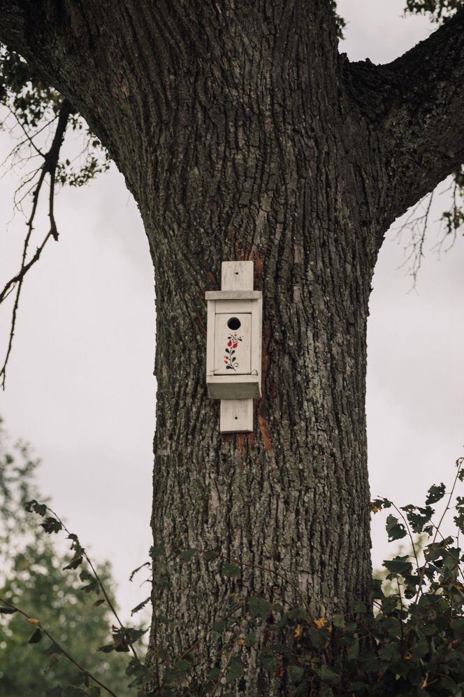 To najpiękniejsza wieś w woj. warmińsko-mazurskim. Zwyciężyła w ważnym konkursie