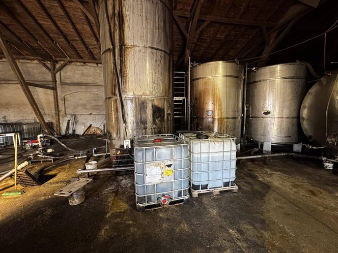 Alarm w Inowrocławiu! Ktoś zrzucił bardzo niebezpieczną substancję do kanalizacji