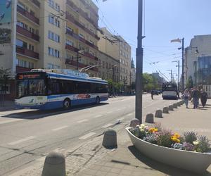 Kulinarna Świętojańska: prawdziwy street food w centrum Gdyni