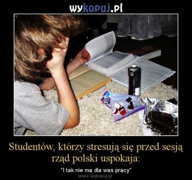 Początek roku akademickiego 2022/2023. Zobacz najlepsze memy o studiach i studentach!