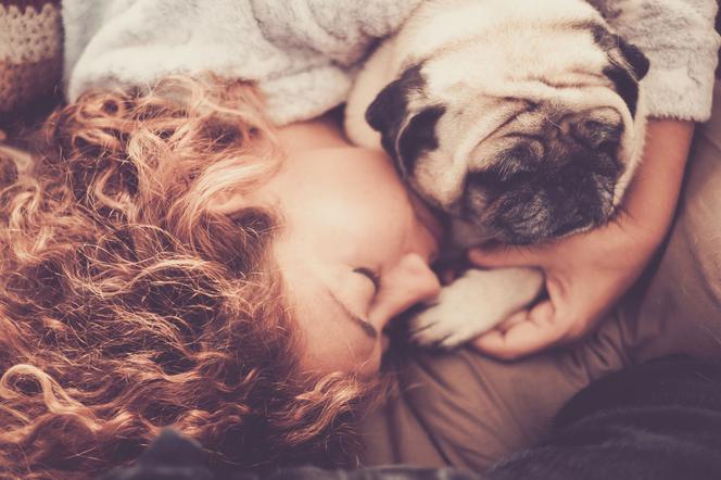 Spanie z psem: wady i zalety
