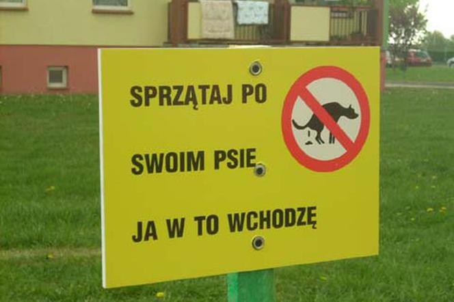 Uwaga na psie kupy w Zakopanem