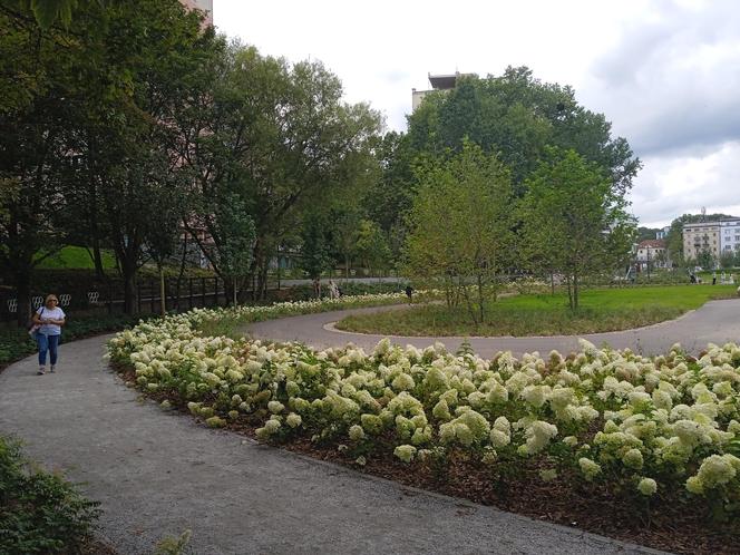 Park centralny w Gdyni. Atrakcje dla dzieci i dorosłych