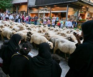 Arabowie szturmują Zakopane. Ten filmik to hit internetu. Dosłownie tak to wygląda