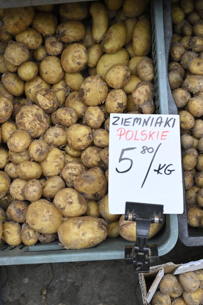  Ceny nowalijek na warszawskich bazarach szokują. Byliśmy i sprawdziliśmy ile trzeba zapłacić