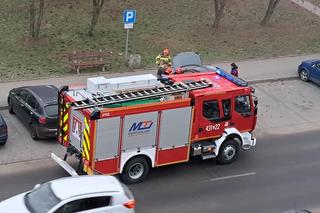 Koszmarny wypadek w Białkowie koło Golubia-Dobrzynia. Przemysław podpalił auto żony, a potem rozbił się na drzewie