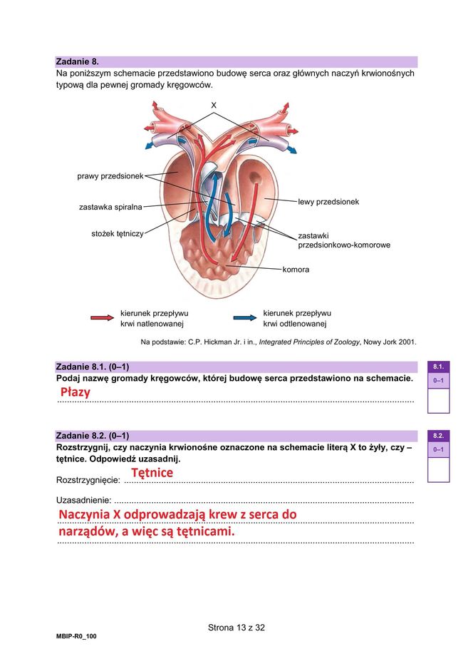 Matura 2025 biologia rozszerzona: ODPOWIEDZI do wszystkich zadań, gotowe rozwiązania matury z biologii rozszerzonej [9.05.2025]	