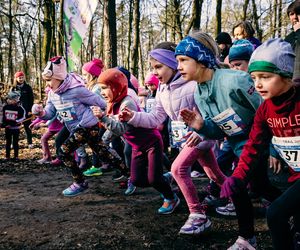 Nowy sezon biegów przełajowych CITY TRAIL w Katowicach