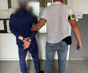 Bydgoszczanin ogołocił sklepy z zabawkami. Policjanci: Zburzyliśmy budowlany plan złodzieja klocków 