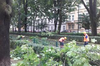 Nawałnica przeszła nad Krakowem: Zalane ulice, powalone drzewa, utrudnienia w komunikacji
