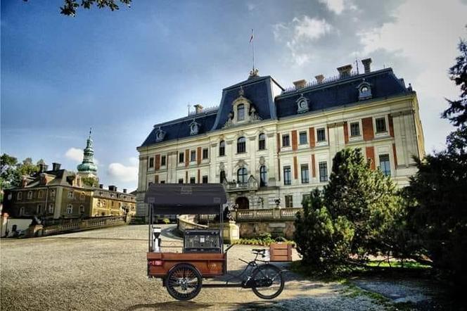 Riksza z pszczyńskiego parku wystawiona na sprzedaż