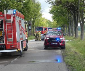 Zwęglone zwłoki w elektrycznym oplu. Samochód uderzył w drzewo i stanął w płomieniach