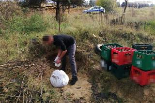 Chcieli być królami życia.  Karierę zaczęli od kradzieży skrzynek z butelkami po piwach