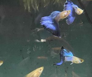 Rozmawiamy z Tomaszem Wiśniewskim, założycielem Aqua Dreams Bydgoszcz