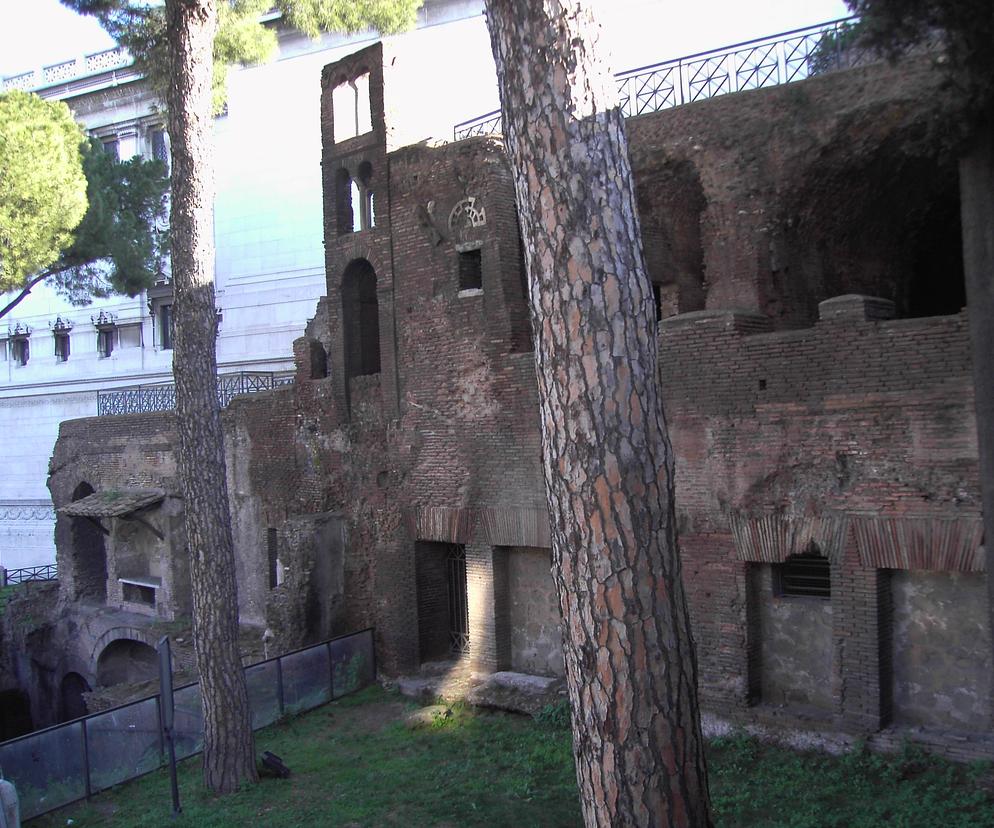 Insula