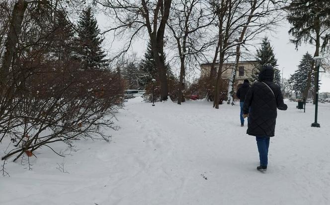 Zamojski Park pod śniegiem