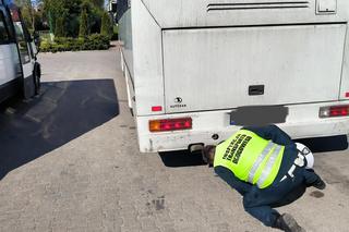 Zdezelowane autobusy miały wieźć dzieci na wycieczkę i do szkół