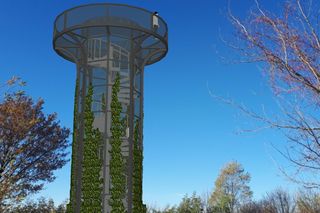 Na Górce Rogowskiej stanie wieża widokowa