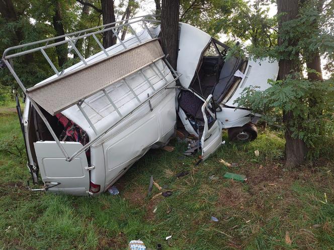 Bus owinął się wokół drzewa, kierowca po alkoholu. Poranny wypadek koło Leszna