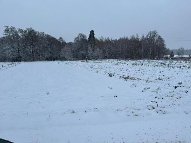 Zima w Warszawie. Zdjęcia od czytelników