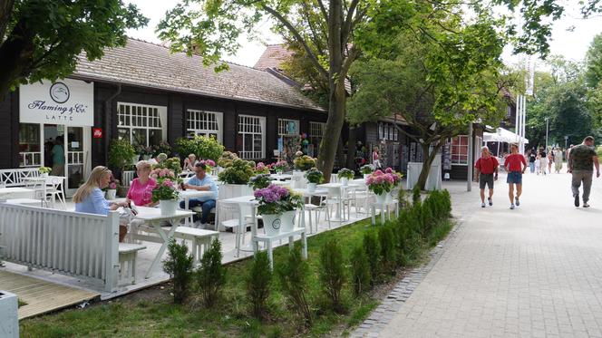 Chiński hotel w drodze Iwony Wieczorek do domu