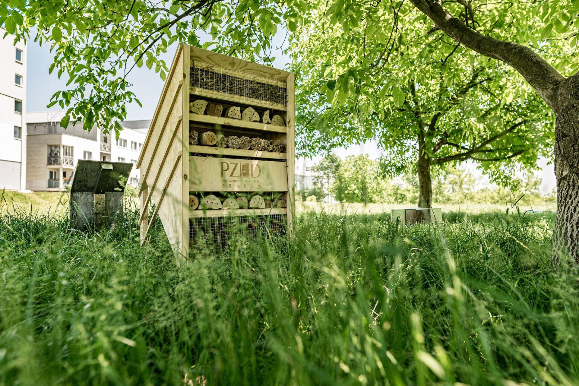 W Polsce powstał największy na świecie dom dla owadów. Właśnie trafił do księgi Guinnessa