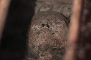 Cała Polska ratuje mumię