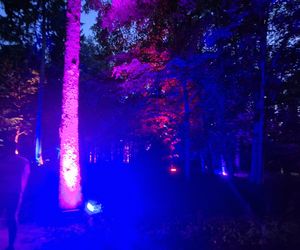 Olsztyn zamienił się w magiczną krainę. Park Świateł przyciągnął tłumy!