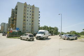 Chrząszcz blokuje budowę drogi