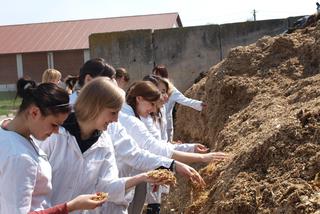 Odnawialne źródła energii, a może bioinżynieria zwierząt? Studiuj w Krakowie! W czerwcu ruszyła rekrutacja na Uniwersytet Rolniczy.