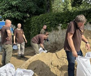 Wrocław. W miejskim ZOO trwają przygotowania do walki z żywiołem