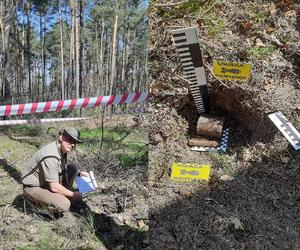 Starachowickie lasy pełne niespodzianek. Tym razem granat okresu II wojny światowej