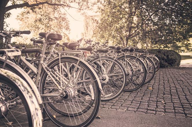 Przejście rowerowe w Dołhobyczowie będzie działać dalej