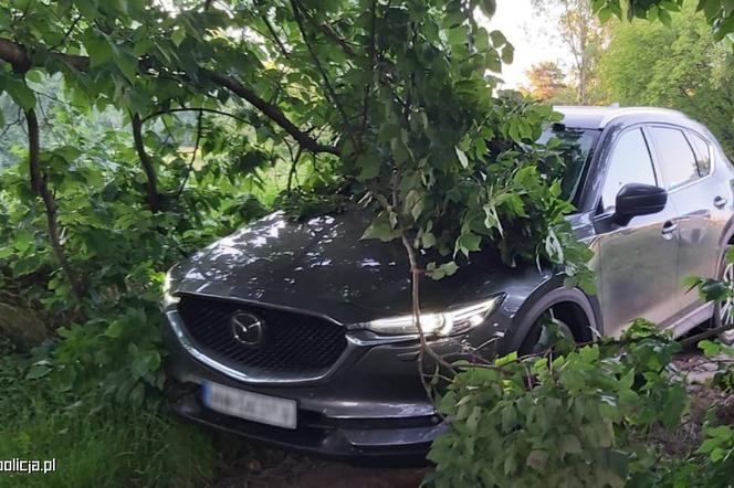 Skradziona Mazda odzyskana jeszcze przed zgłoszeniem