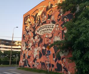 Street art w Bydgoszczy. Wiele murali robi wrażenie!