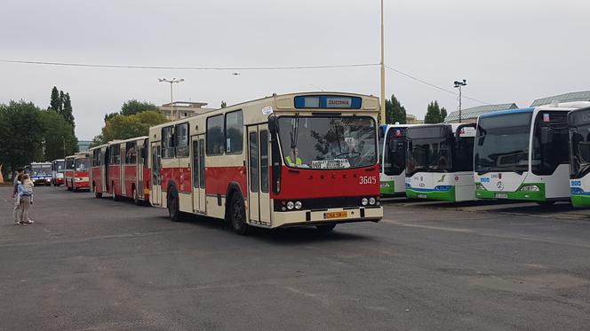 Szczecinianie świętują jubileusz komunikacji miejskiej