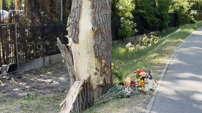 Trzech mężczyzn spłonęło żywcem. Tak wygląda miejsce tragedii. Poruszający gest dla zmarłych