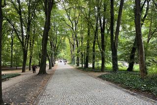 Łazienki Królewskie - 1 października 2022 r. 