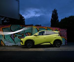 BYD DOLPHIN SURF