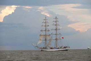 ParadaZagleGdyni2014_FotMZwierz_710418