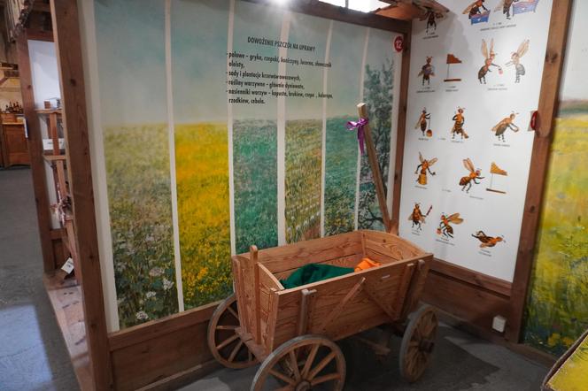 Muzeum i Skansen Pszczelarstwa w Swarzędzu