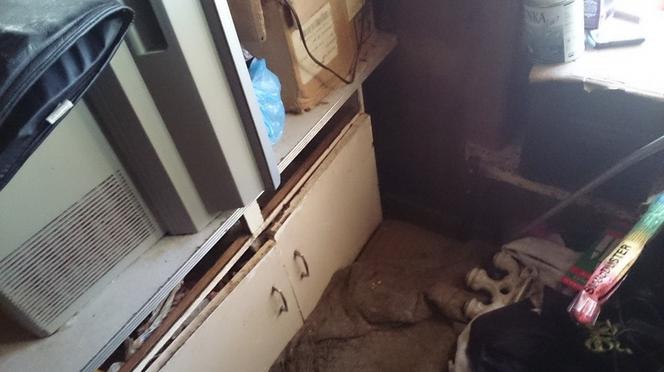 Dom grozy w Łodzi: Dwoje dorosłych i 20 wychudzonych psów żyło w niewyobrażalnym SMRODZIE I SYFIE!