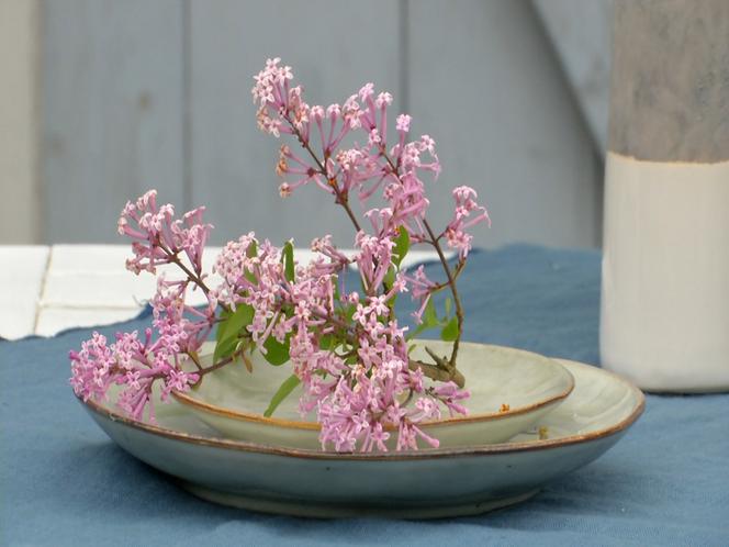 Sezonowe kwiaty w letniej dekoracji stołu w stylu skandynawskim