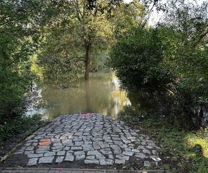 Wrocław walczy z wielką wodą. Rzeka wylewa na Stabłowicach, ludzie układają worki z piaskiem 