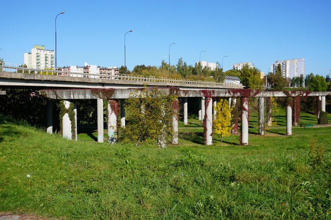 Filary porośnięte bluszczem w Lublinie! Tak się prezentują w jesiennej odsłonie