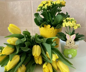 Ceny kwiatów na Wielkanoc 