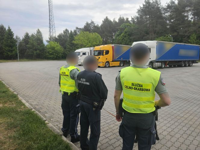 Gigantyczny przemyt kokainy