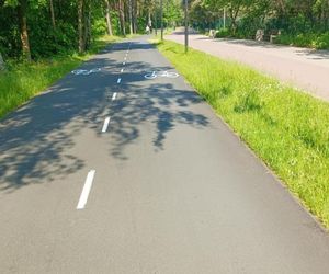 Powstanie aż 12 kilometrów drogi rowerowej w Gdańsku. W Sopocie też będą nowe!