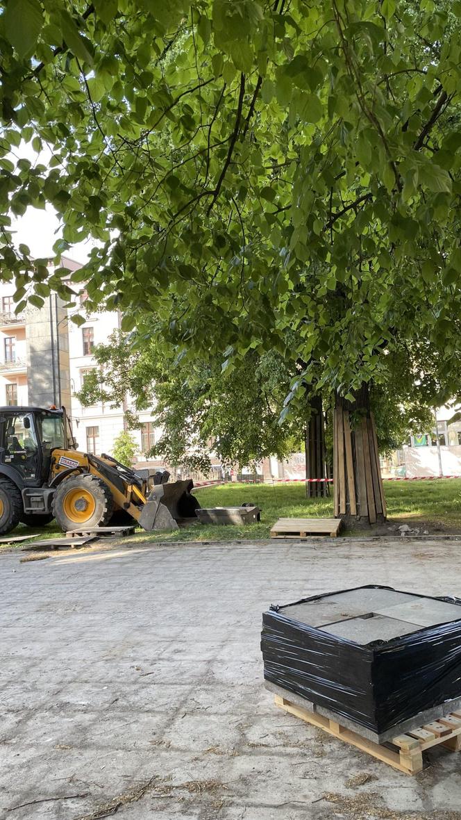 Społecznicy sprawdzili, co się dzieje ze starymi drzewami podczas rewitalizacji placu Wolności 