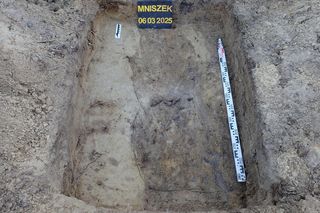 Ludzkie szczątki przy torach pod Świeciem! Tajemnica grobu w końcu wyszła na jaw